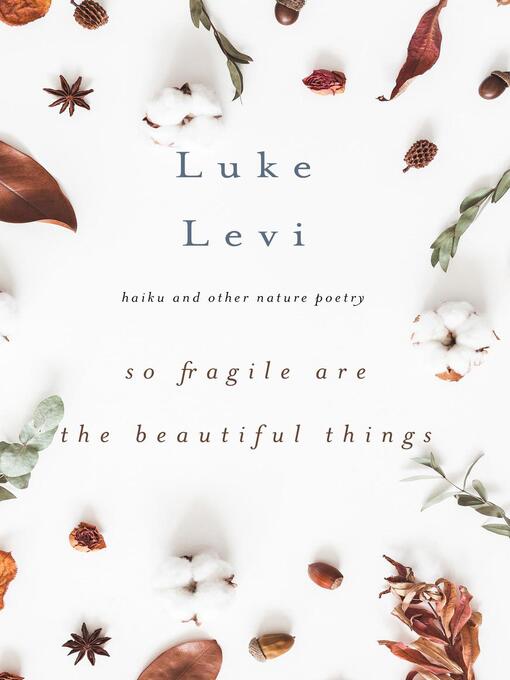 Title details for So Fragile Are the Beautiful Things by Luke Levi - Available